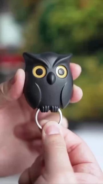 Owl Keeper Key Holder Pack of (2)