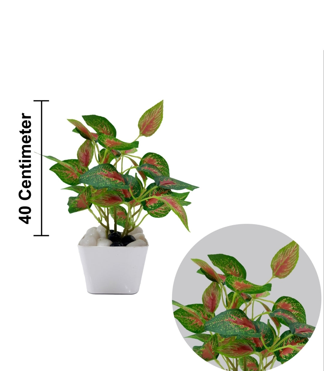 GreenAura Plant