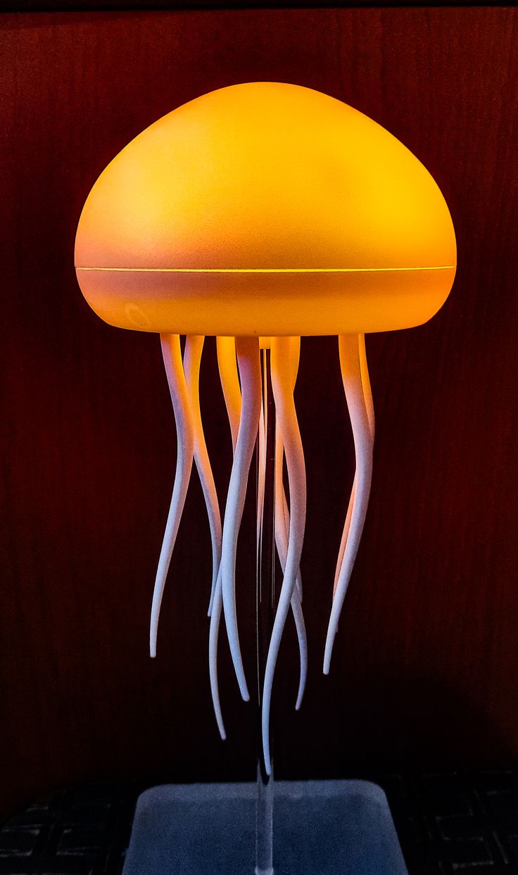 Jellyfish Lamp