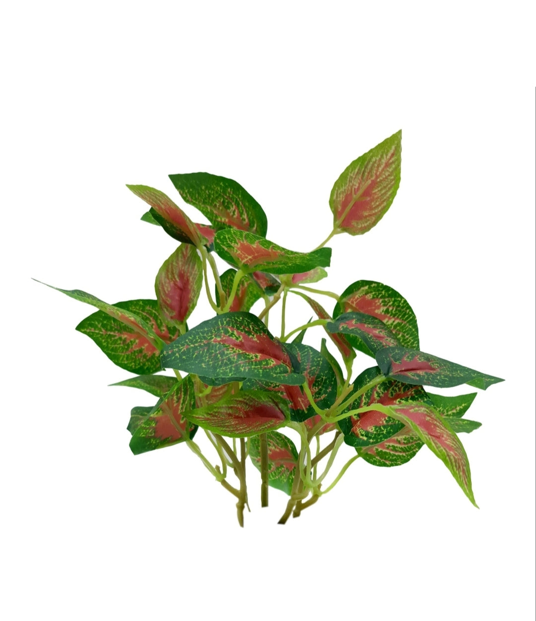 GreenAura Plant