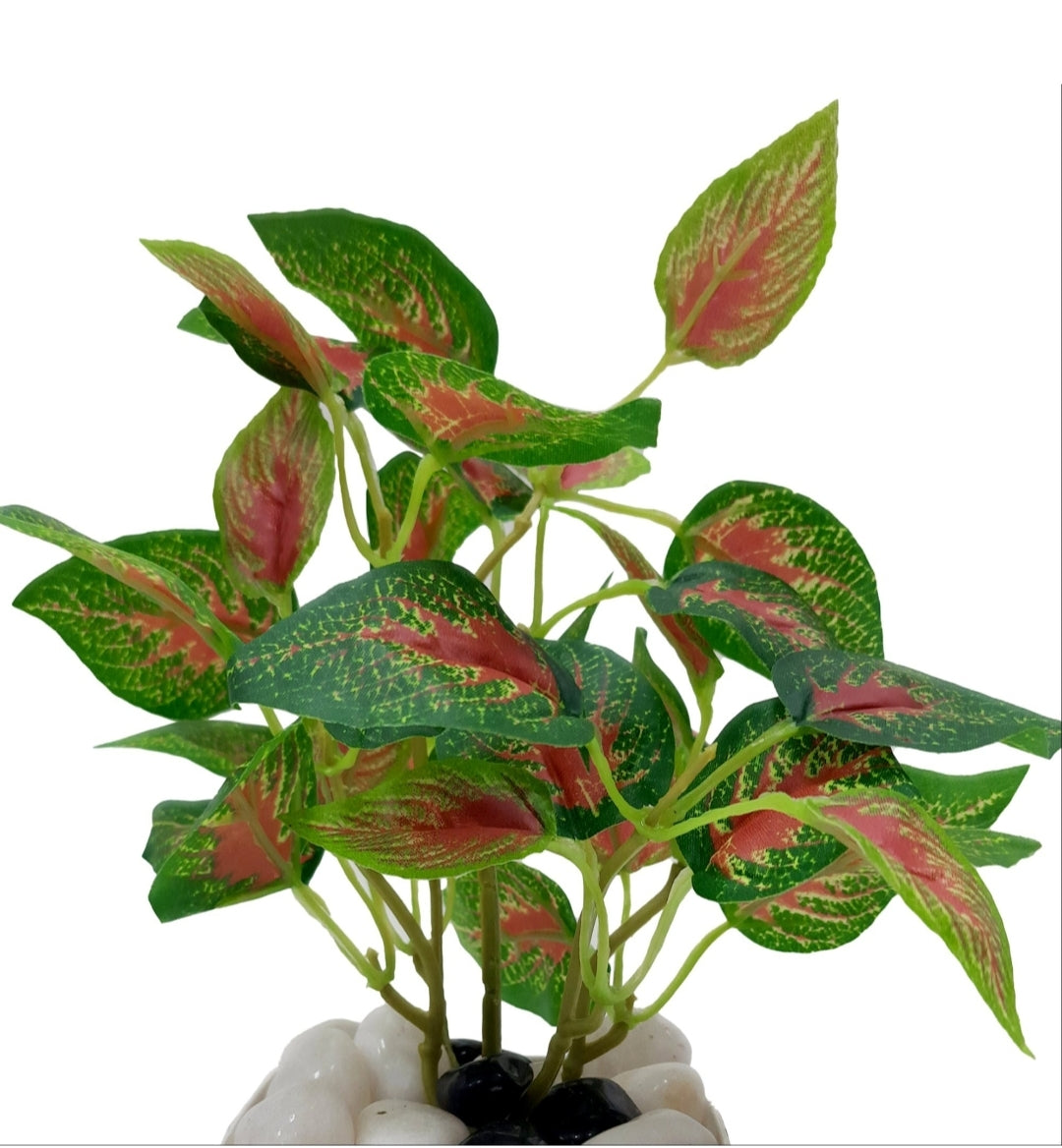GreenAura Plant