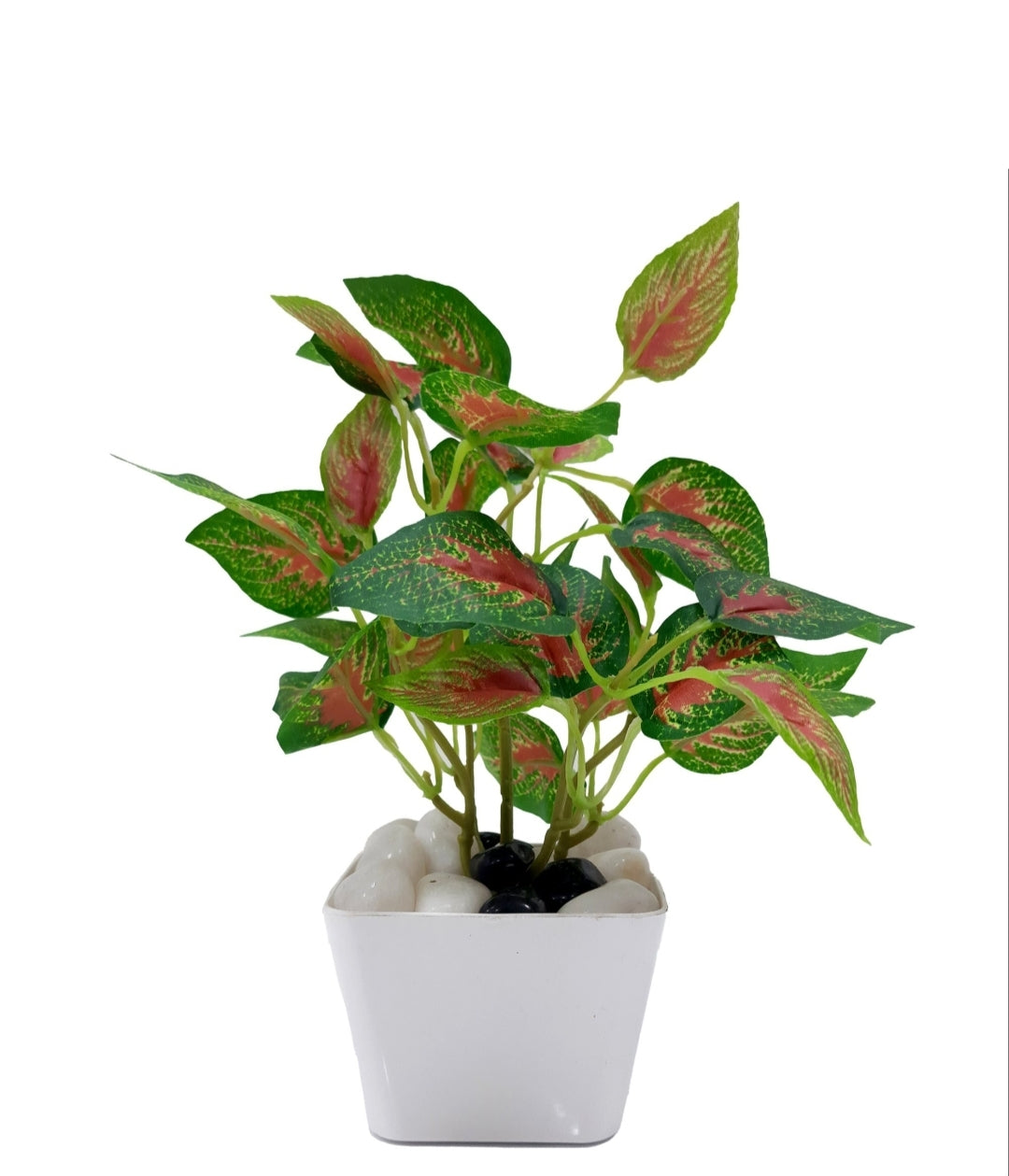 GreenAura Plant