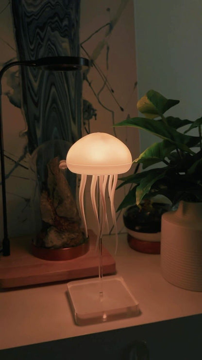 Jellyfish Lamp