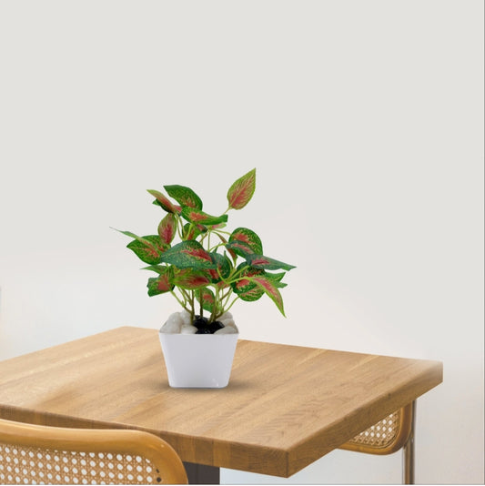 GreenAura Plant