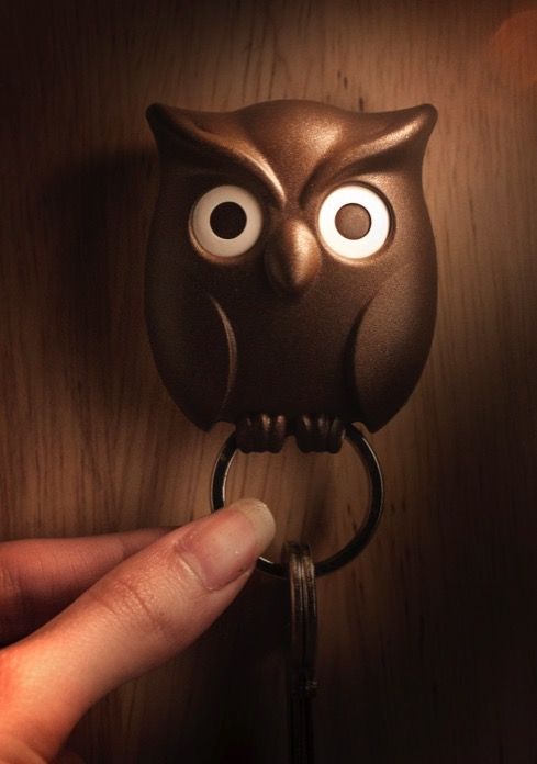 Owl Keeper Key Holder Pack of (2)