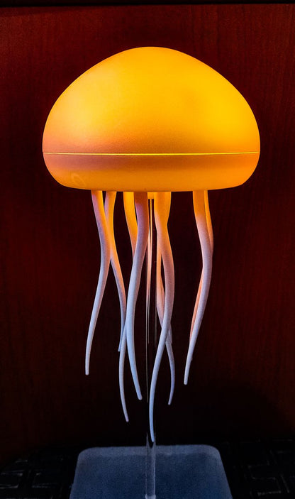 Jellyfish Lamp