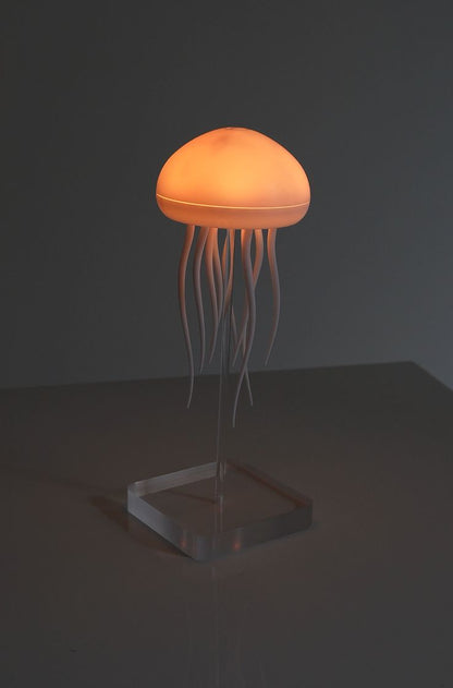 Jellyfish Lamp